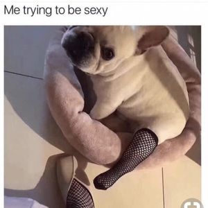 Meet your Posher, Silah